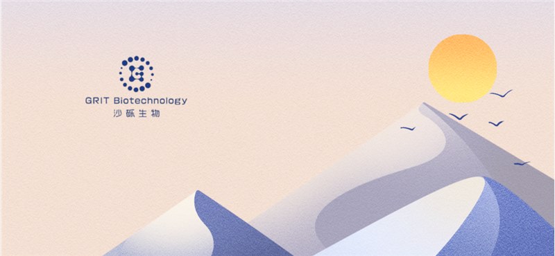 沙砾生物基因编辑TIL产品——GT201继获批中国IND后又获美国FDA IND批准 | 项目进展