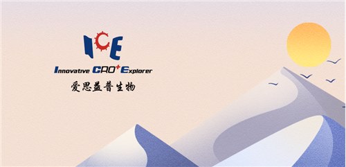 爱思益普完成B++轮融资 | 融资